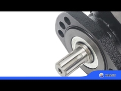 BMER-2-300-FH-SW Υδραυλικός κινητήρας χαμηλής ταχύτητας υψηλής ροπής 18,08 κυβικών ιντσών εκτόπισμα