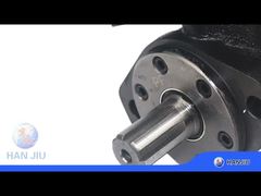 Υδραυλικός κινητήρας BMP-200-2-E-D-B με βαλβίδα ανακούφισης, άξονας SAE 6B, θύρες BSPP