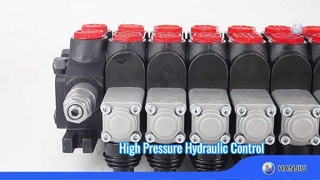 ΒΑΛΒΙΔΑ ΤΜΗΜΑΤΟΣ DCV60